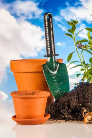 Soil, pots and garden tools